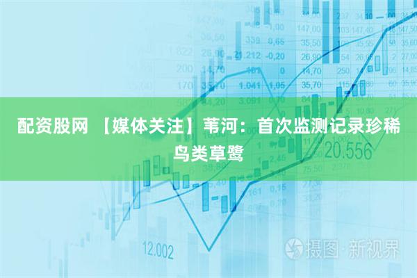 配资股网 【媒体关注】苇河：首次监测记录珍稀鸟类草鹭