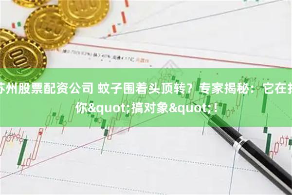 苏州股票配资公司 蚊子围着头顶转？专家揭秘：它在找你"搞对象"！